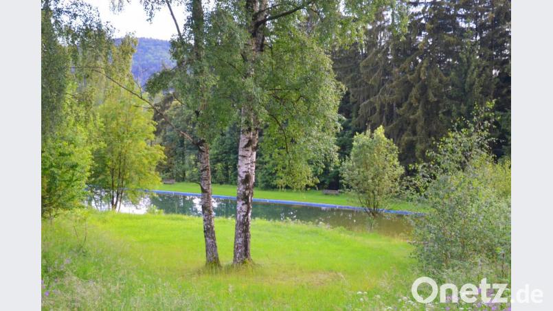 Inklusive der Möglichkeit zum Umkleiden und zu Toilettengängen öffnet die Gemeinde Georgenberg ihren idyllisch gelegenen Naturbadeweiher in Neukirchen zu St. Christoph. Bild: fjo