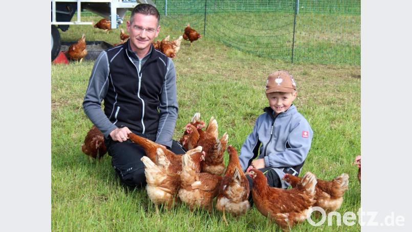 Michael Schicker – hier mit seinem Sohn Johannes – ist Herr über 222 Legehühner, sein Leben als Versicherungsexperte gehört der Vergangenheit an Bild: stg