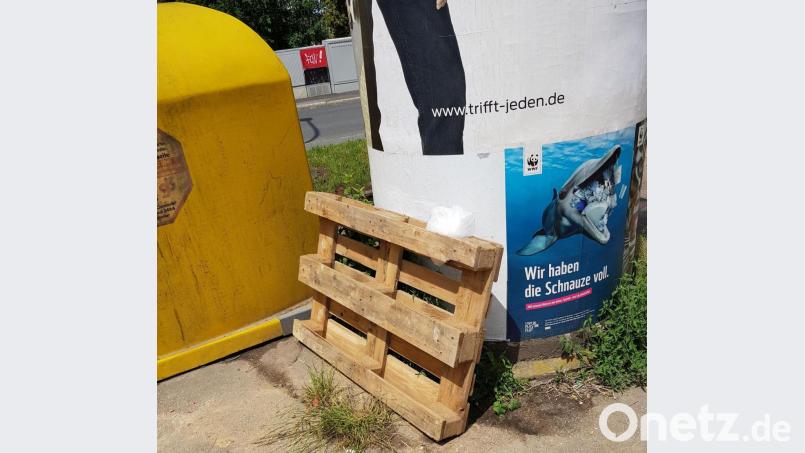 Eine Europalette an einer Litfaßsäule in der Gerberstraße. Bild: Mario Lutz