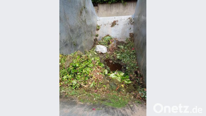 Im Grüngutcontainer in der Krumbacher Straße hat jemand einfach eine Plastiktüte mit Inhalt entsorgt. Bild: Mario Lutz