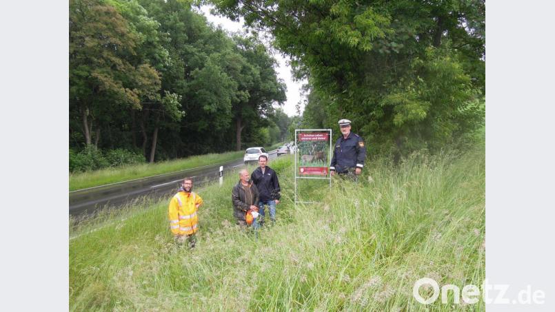 An der Straße nach Vohenstrauß, nahe Tröglersricht, sind die ersten der neuen Wildwarntafeln aufgestellt. Dabei sind (von links) Alexander Deeg vom Straßenbauamt, Hans Dittrich, Vorsitzender der BJV-Kreisgruppe Weiden-Neustadt, Andreas Bauer von der Verkehrsbehörde Weiden und Johann Wurm von der Polizei Weiden. Bild: Hans Lehner/exb