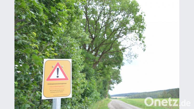 Mit Warntafeln werden die Bürger auf den Eichenprozessionsspinner aufmerksam gemacht. Bild: pgn