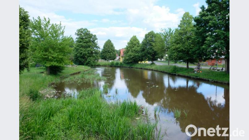 "Sturzbäche" wie am 14. Juni können die sonst so beschauliche Creußen zu einem reißendem Fluss anschwellen lassen. Nun beschäftigt sich auch der Speinsharter Gemeinderat mit dem Thema. Bild: do