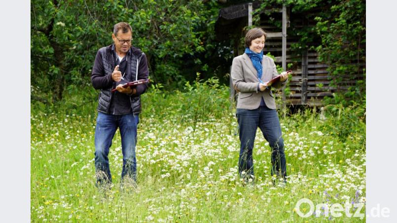 Ein bisschen Regen konnte Manuela Pappenberger und Harald Schlöger nicht aufhalten den Garten unseres Berichterstatters unter die Lupe zu nehmen. Die Voraussetzungen für die Plakette wurde erfüllt. Bild: bkr