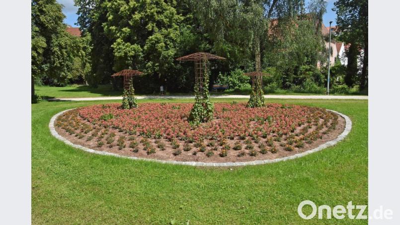 Im Bürgerpark können sich Spaziergänger über diese neue Blumen-Anlage freuen. Bild: Andreas Royer