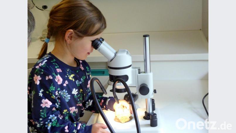Experimentieren mit dem Mikroskop. Bild: fsb