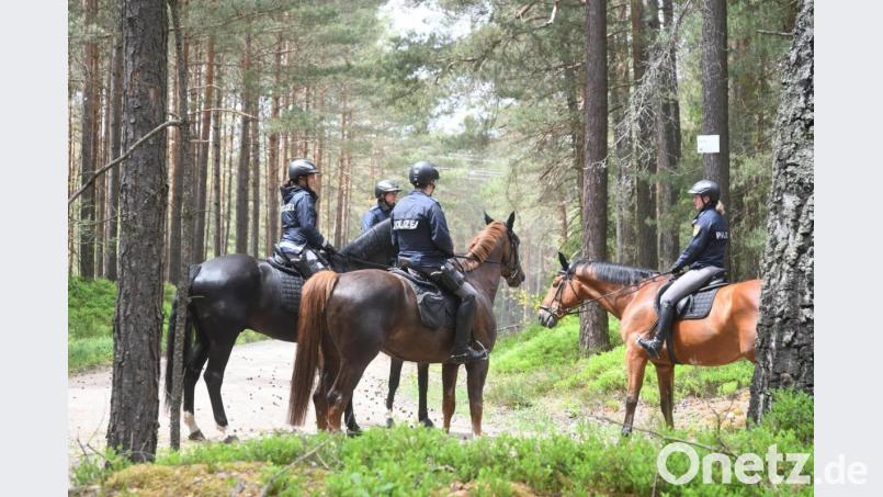 Sogar eine Reiterstaffel der Polizei Mittelfranken unterstützte die örtlichen Einsatzkräfte bei der Suche nach dem vermissten 77-Jährigen in den Wäldern am Brandweiher. Derzeit kann nicht bestätigt werden, ob es sich bei der gefundenen toten Person um den Vermissten handelt. Archivbild: Gabi Schönberger