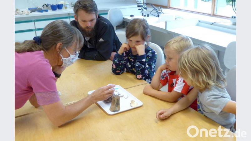 Ein Versuch mit verdünnter Salzsäure. Die Kinder sehen Umweltpädagogin Andrea Mack gespannt zu. Bild: fsb