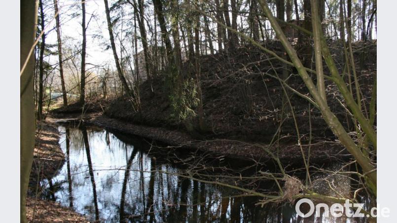 Seit rund 900 Jahren steht dieser Turmhügel nahezu unverändert neben dem Rastenhof und an der Goldenen Straße. Archivbild: cr