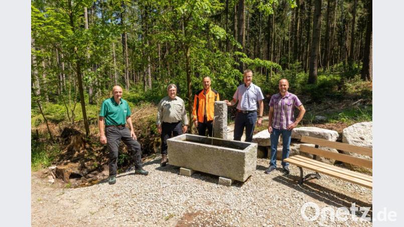 Werner Schmidt, Förster am Ochsenkopf, Udo Wenzel vom Amt für Ernährungs, Landwirtschaft und Forsten in Bayreuth, Winfried Pfahler, Leiter des Forstbetriebs Fichtelberg, Michael Schreier, Bürgermeister in Bischofsgrün und Willi Zapf, Tourismusmanager in Bischofsgrün (v.l.n.r.) bei der offiziellen Übergabe des noch namenlosen Brunnens am Walderlebnispfad bei Bischofsgrün. Bild: exb