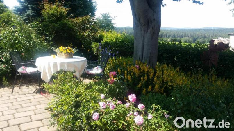Mitglieder des Obst- und Gartenbauvereins Münchenreuth haben den offenen Garten der Familie Bauernfeind in Großbüchlberg besucht. Bild: exb