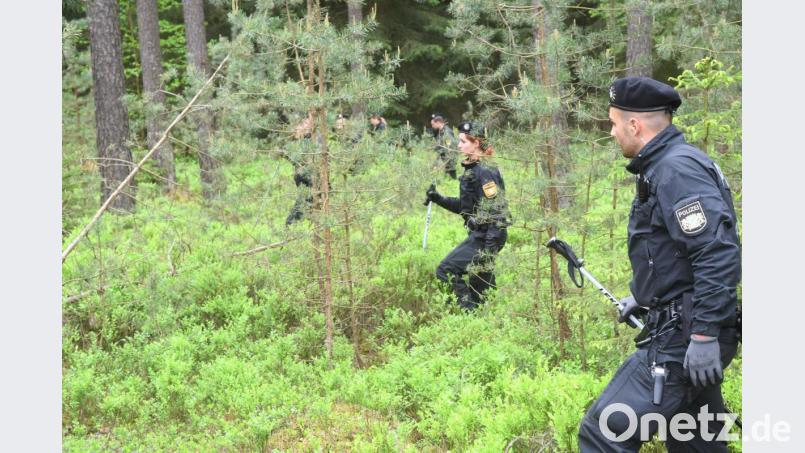 Mehrmals durchstreifte die Polizei das Waldgebiet bei Weiden. Bild: Gabi Schönberger