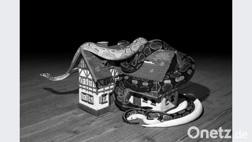 Nichts ist, wie es scheint: Bedrohlich räkeln sich zwei Schlangen auf dem Häuschen einer Marktredwitzer Landschaftskrippe. Mit diesem Bild hat Elena Helfrecht den zweiten Platz beim &quot;Sony Award&quot; belegt. Bild: Elena Helfrecht/exb