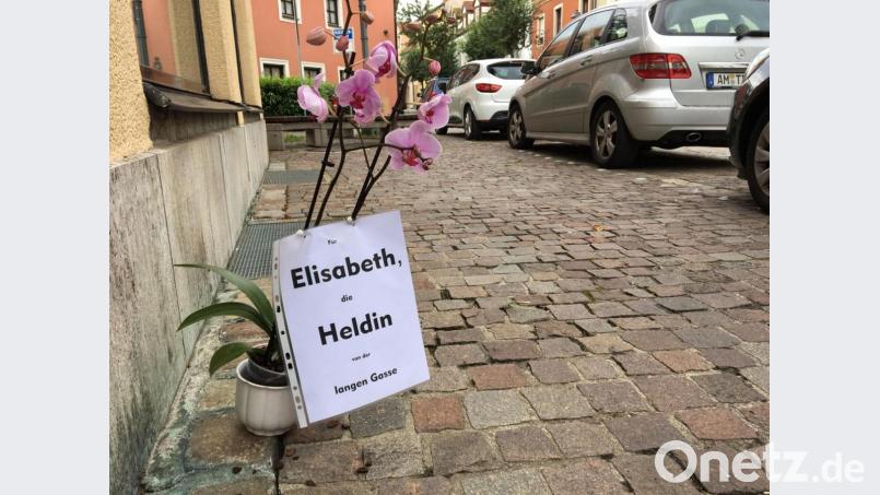 Eine Orchidee für "Elisabeth, die Heldin von der langen Gasse". Bild: upl