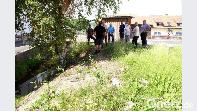 Einen ausgiebigen Blick warf der Bauausschuss auf die Gestaltung des Umfeldes rund um das alte Feuerwehrhaus. Die verstümmelte Birke am Bach sieht nicht nur unschön aus, sie steht auch dem Bauhof bei den Räumungsarbeiten des Baches im Wege. Bild: Picasa