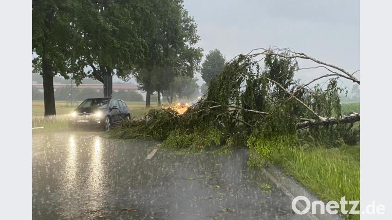 Ein umgestürzter Baum liegt auf einer Straße. Eine Gewitterfront zog über die Region am Chiemsee. Bild: Bernd März/dpa