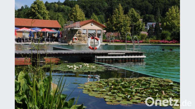 Mit Tageskarten für Einzelpersonen und Familien startet das Naturbad in die Badesaison 2020. An einem Angebot für regelmäßige Schwimmer wird noch gearbeitet Bild: Markt Königstein, Tourismus/exb