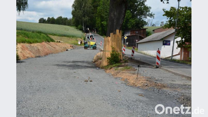 Diese mächtige Eiche bildet das Zentrum eines Fahrbahnteilers, der den fließenden Verkehr auf der Ortsdurchfahrt von Maiersreuth beruhigen soll. Bis zum Herbst sollen die Arbeiten beendet sein. Bild: jr