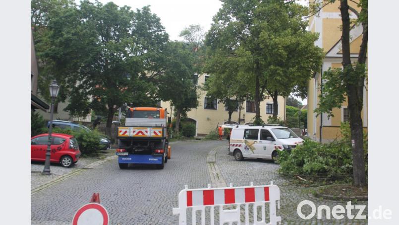 Die Bäume auf dem Marktplatz sind von Totholz befreit worden. Bild: Josef Glas