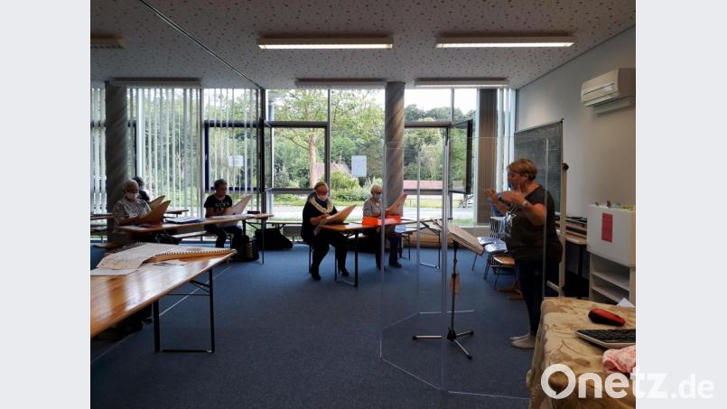 Die Veehharfen proben in Kleingruppen mit Sicherheitsabstand und Mundschutz im Musikschulgebäude oder nutzen daheim vor dem Bildschirm und Handy die Übe-Einheiten. Bis zu sieben pro Woche. Bild: kwl