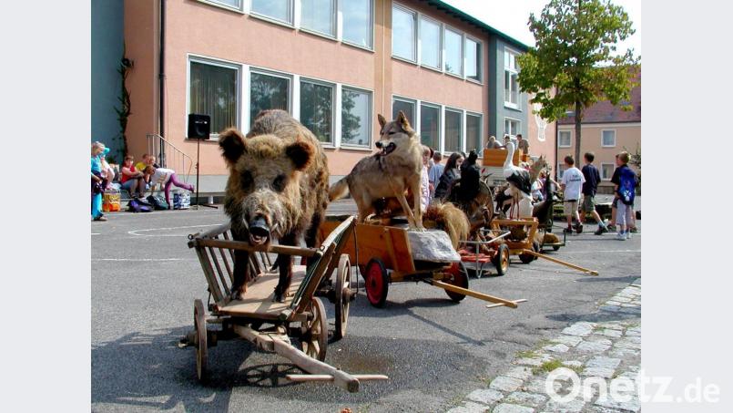 Alles muss raus: Als 2003 die Grundschüler ins neue Gebäude an der Amberger Straße zogen, kamen natürlich auch sämtliche Unterrichtsgegenstände mit - und seien es ausgestopfte Waldtiere. Repro: tat