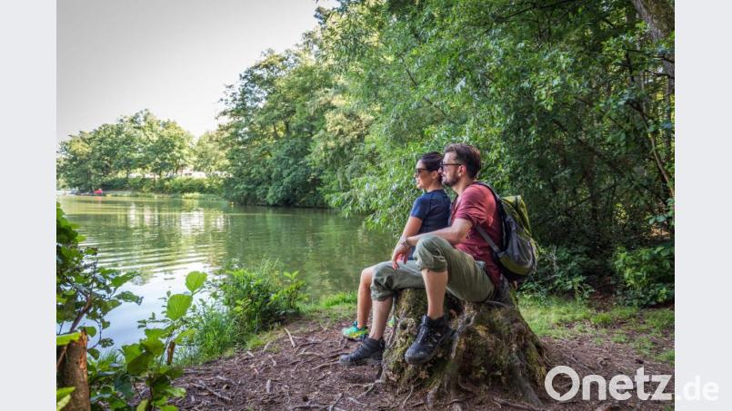 Das große Plus des Tourismus Oberpfälzer Wald: Grenzenlose Natur. Bild: Bild: Tourismus Oberpfälzer Wald/Thomas Kujat