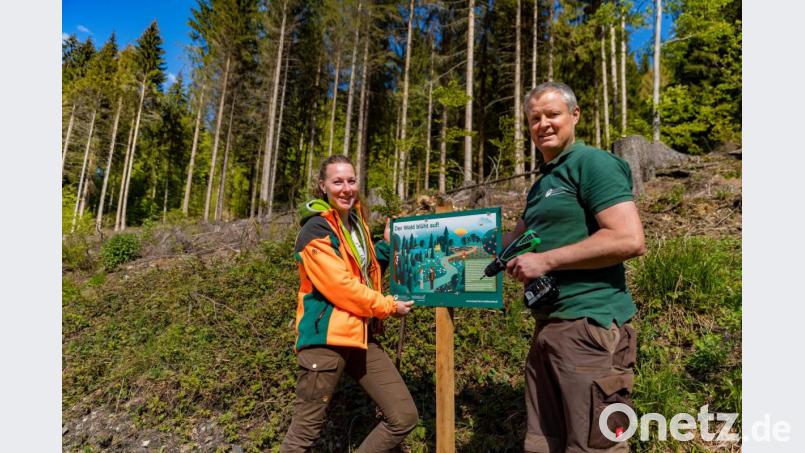 Miriam Lang, Spezialistin für Naturschutz an der Zentrale der Bayerischen Staatsforsten und Förster Gerhard Schirbel vom Forstbetrieb Fichtelberg montieren eine Infotafel am neu bepflanzten Waldsaum entlang des Radwegs nach Warmensteinach. Bild: exb