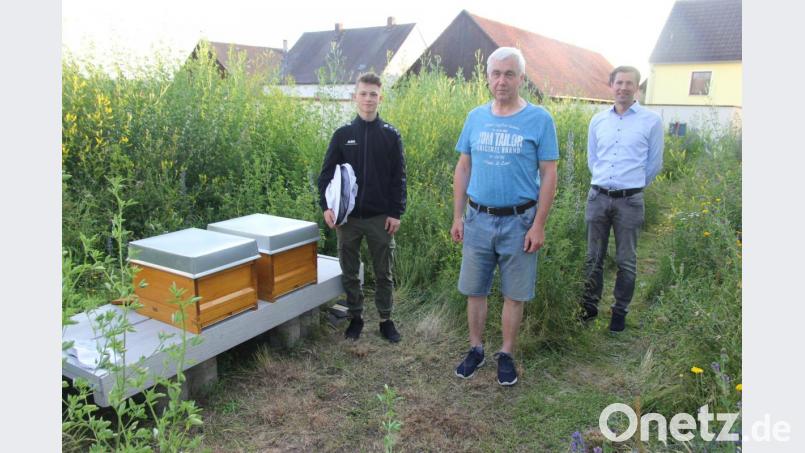 Kirchenpfleger Günter Schießl (Mitte) und Pfarrer Michael Hoch (rechts) informierten sich bei Jungimker Johannes Böhnisch (links) über die Imkerei auf der neu geschaffenen Blumenwiese bei der St.-Ulrich-Kirche. Bild: ral