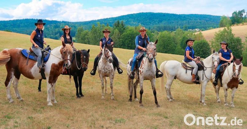 Beim berittenen „Cowboy-Dienstag“ erkundet man als Cowgirl oder Cowboy im Westernsattel die wunderschöne Natur. Auf dem Rücken erfahrener Pferde führt der Ritt durch die einzigartige Landschaft des Naturparks Steinwald. Archivbild: bsc