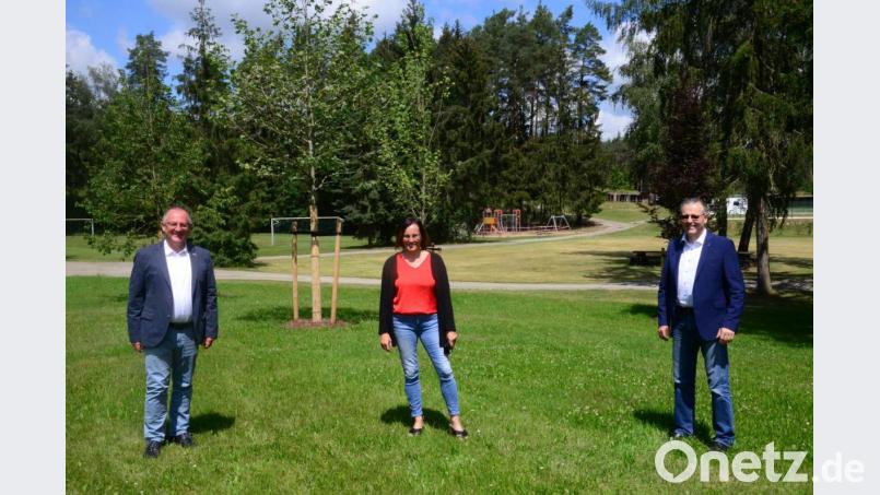 Über die Anpflanzung auf dem Gelände des Schätzlerbads freuen sich (von links) Elmar Baumer, Ilona Forster und Michael Richthammer. Bild: Kunz