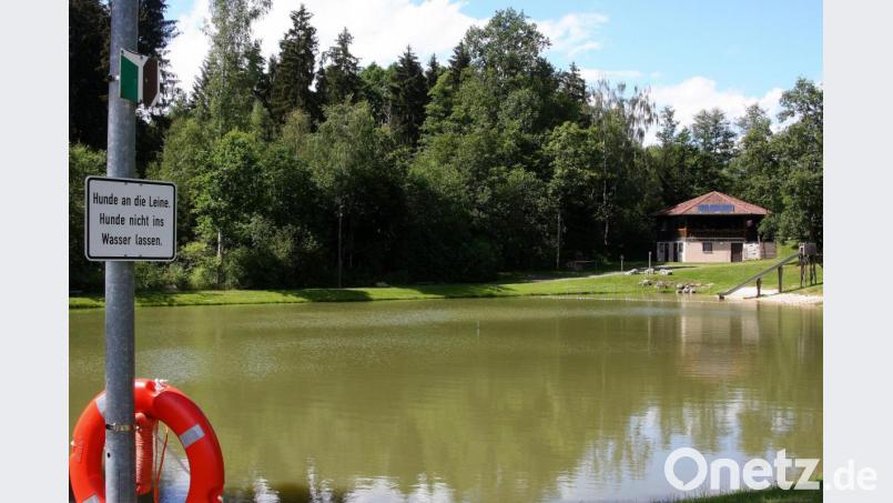 An mehreren Stellen des Freizeitgeländes Waldbadeweiher mahnen Hinweisschilder, dass Hunde an der Leine zu führen sind und nicht ins Wasser dürfen. CSU-Marktrat Markus Troesch sah sich veranlasst, in der Gemeinderatssitzung noch einmal darauf hinzuweisen. Bild: wro