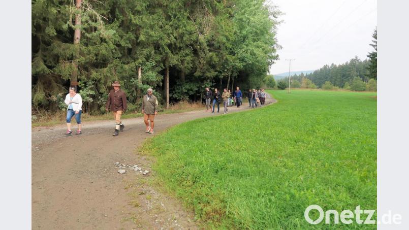 Die Wanderwege rund um Friedenfels begeistern Feriengäste, Erholungssuchende, Wandervereine und Naturliebhaber. Bild: bsc