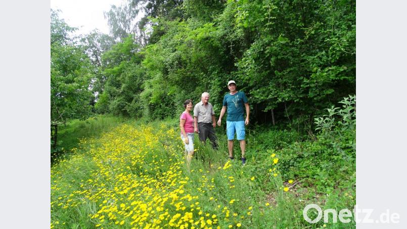 Karin und Dietmar Haar freuen sich mit Hans Sperber (Mitte) über die Anlage einer Blühfläche für Bienen. Bild: Haar/exb