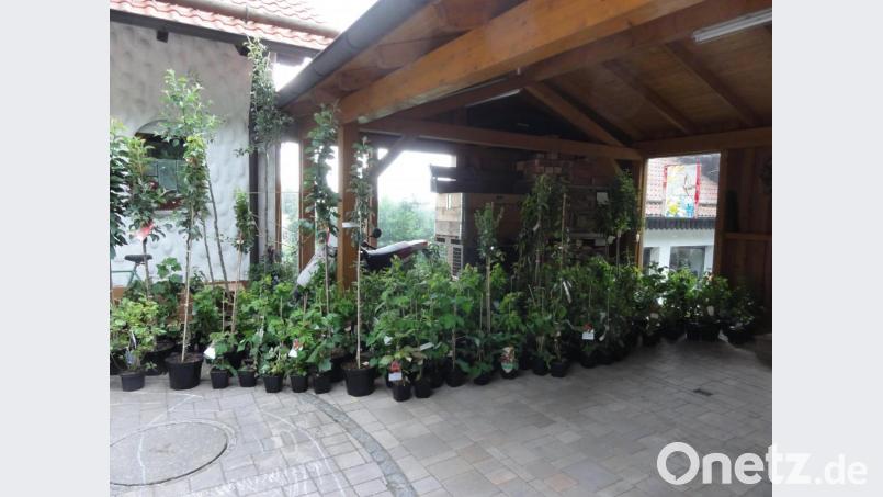 Eine logistische Meisterleistung vollbrachten die Mitglieder des Obst- und Gartenbauvereins, um die zahlreichen Bestellungen anzunehmen sowie die Ware nach der Lieferung zu sortieren und für die Abnehmer abholbereit zusammenzustellen. Bild: jhö