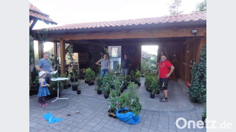 Eine logistische Meisterleistung vollbrachten die Mitglieder des Obst- und Gartenbauvereins, um die zahlreichen Bestellungen anzunehmen sowie die Ware nach der Lieferung zu sortieren und für die Abnehmer abholbereit zusammenzustellen. Bild: jhö