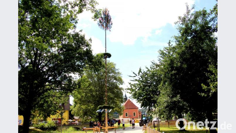 Nach viel Anstrengung und Schweiß kündet der geschmückte Baum von der Kirwa in Kirchenreinbach. Bild: ds