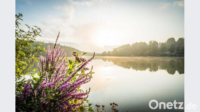 Reizvolle Aussichten bietet beispielsweise der Campingplatz am Hammersee in Bodenwöhr. Bild: Thomas Kujat