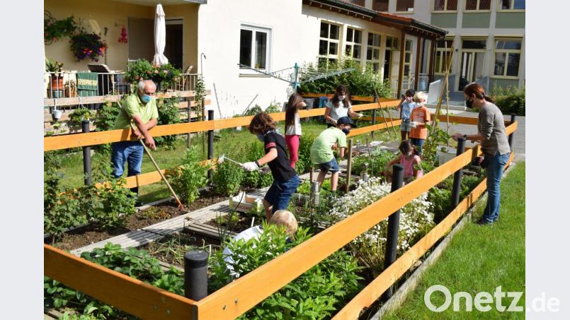 Im Schulgarten sind die Kinder begeistert bei der Sache. Gartenfreund Gerhard Meindl und die Klassenlehrerin Elisabeth Ertl zeigen den Kindern, wie es richtig gemacht wird. Bild: bnr