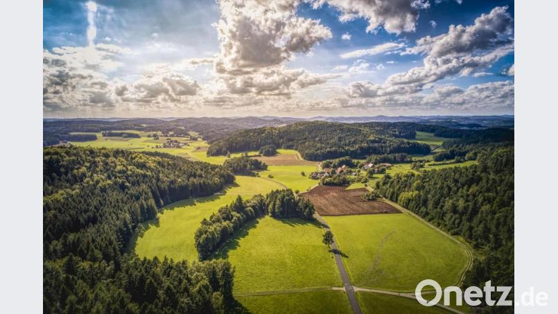 So schön ist es in der Gemeinde Birgland - aus der Luft betrachtet mindestens genauso wie vom Wanderweg aus. Bild: Stephan Böhm