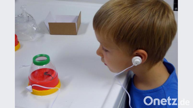 Welche Geräusche macht eigentlich ein Regenwurm? Hört man ihn wirklich husten, wie in dem beliebten Kinderlied behauptet wird? Beim Familienworkshop an der KTB finden es die Kinder heraus. Bild: fsb