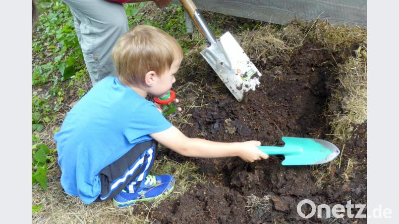 „Wo sind denn die kleinen Tierchen?“, fragt sich Tim. Bild: fsb