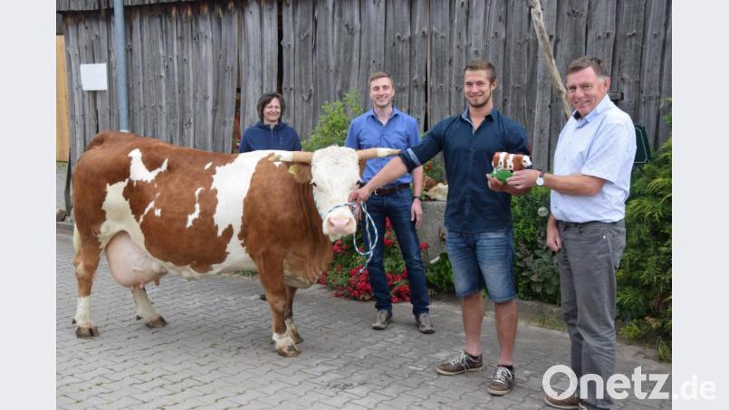 Dr. Thomas Nübler überreicht den Ehrenpreis des Rinderzuchtverbands Oberpfalz an den jungen Englershofer Landwirt Christoph Würth. . Lehrer Gerhard Schwarz gratuliert dem Absolventen Würth sowie seiner Mutter Angelika zum Erfolg. Der junge Landwirt holt zur Preisverleihung sein Studienobjekt Kuh "Alma" aus dem Stall. Bild: fz
