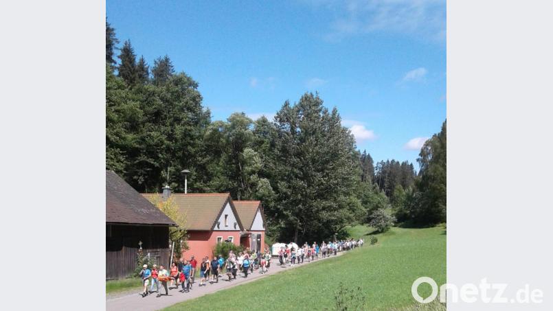 Quer durch den Oberpfälzer Wald zogen die knapp 100 Fußpilger, hier bei der Papiermühle bei Neuenhammer, bei bestem Pilgerwetter von Tirschenreuth zum Wallfahrtsort Fahrenberg. Bild: Klaus Müller/exb