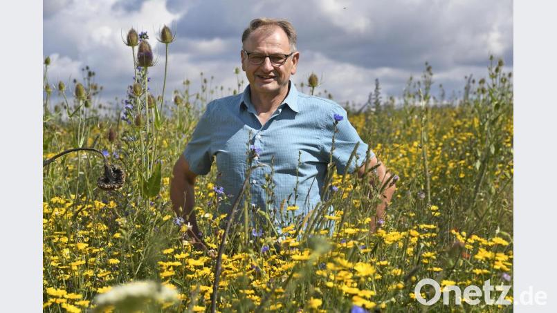 Landwirt Herbert Fleischmann aus Winbuch freut sich, dass seine Idee, eine intensiv genutzte Ackerfläche an die Natur zurückzugeben, Blüten trägt. Bild: Petra Hartl