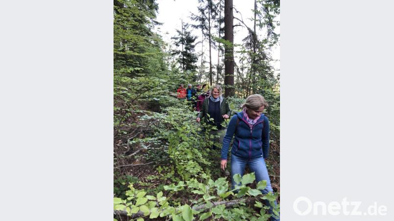 Es soll nicht die letzte Wanderung dieser Art gewesen sein. Bild: exb