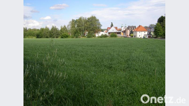Mit knapp 4,9 Millionen Euro soll die Bodensanierung dieser landwirtschaftlich genutzten Fläche in Waldsassen bezuschusst werden: Das Gelände ist komplett mit alten Kapselscherben aus der Porzellanindustrie aufgefüllt. Bild: pz