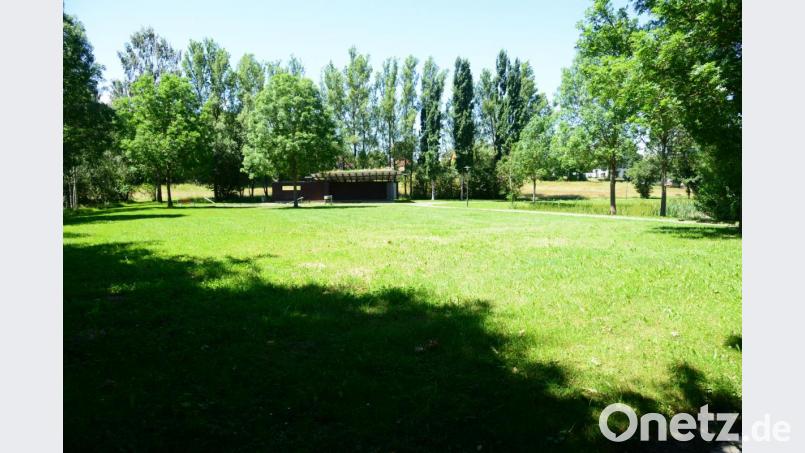 Auf dieser Fläche - am frühen Morgen teilweise im Schatten, ab Mittag im Sonnenschein - soll der Biergarten eröffnet werden. Dazu gibt es &quot;Essen to go&quot;, Getränke und Sitzmöglichkeiten für maximal 400 Besucher. Bild: bey