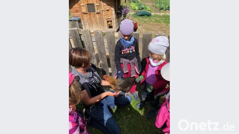 Das Huhn fühlte sich sichtlich wohl bei Inge Lorenz (links) und den Kindern der Waldgruppe. Bild: jzk