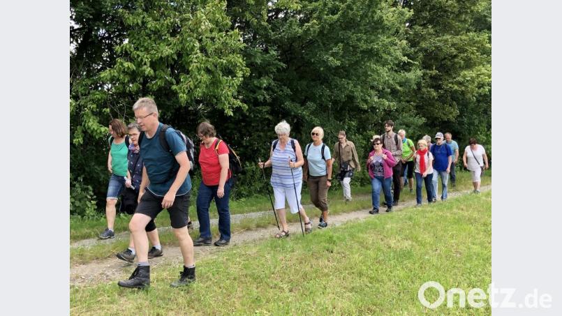 Wandertour am bayerisch-tschechischen Grenzkamm bei Bärnau mit Alfred Wolf (vorne links) als ausgewiesenen Kenner der Geschickte der Goldenen Straße Bild: eib