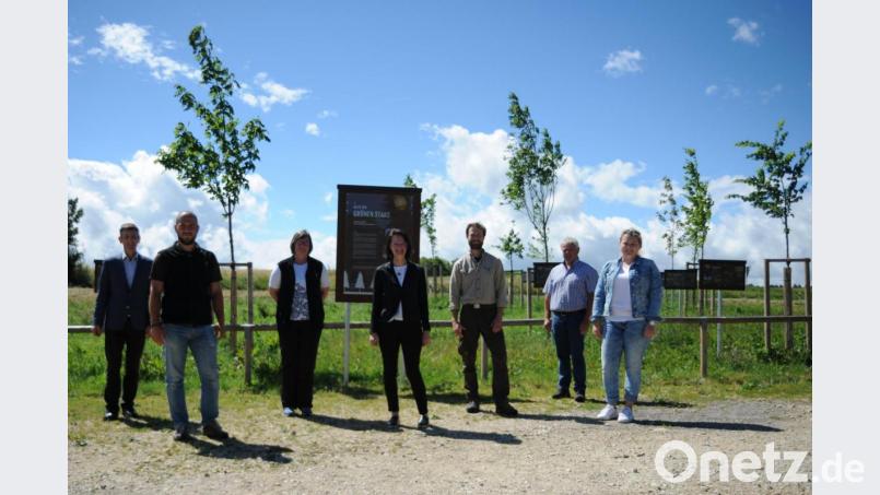 Gemeinsam freuen sie sich über ihre Allee der grünen Stars. Von links Ursensollens Bürgermeister Albert Geitner, Naturpark Mitarbeiter Alexander Gnatz und Geschäftsführerin Isabel Lautenschlager, Andrea Zitzmann, Leiterin der Fielmann-Niederlassung in Amberg, Naturpark Ranger Jonas Nelhibel, Johann Schmaußer, Biodiversitätsbeauftragter der Gemeinde Ursensollen und Gemeinde-Verwaltungsfachwirtin Nina Forster. Bild: Andreas Brückmann